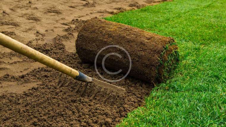 How to Properly Seed Your Lawn