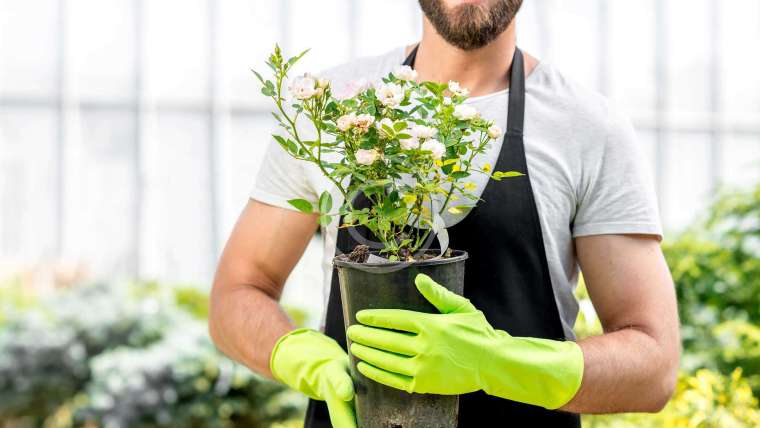 Create a Beautiful Landscape with Garden